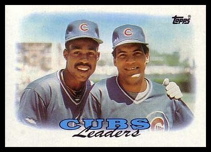 171 Cubs Leaders